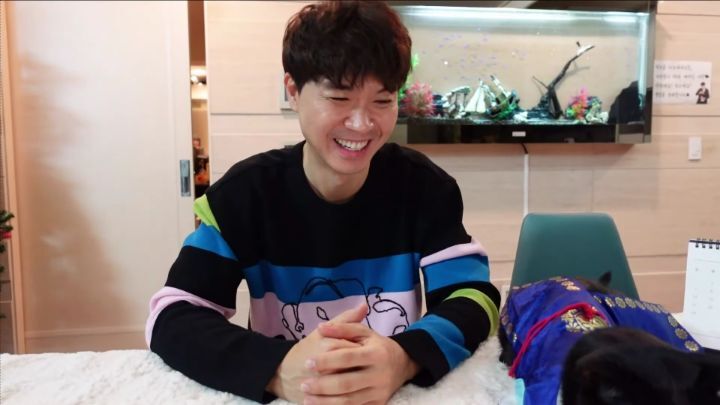 박수홍이 키우는 고양이 모질 | 인스티즈