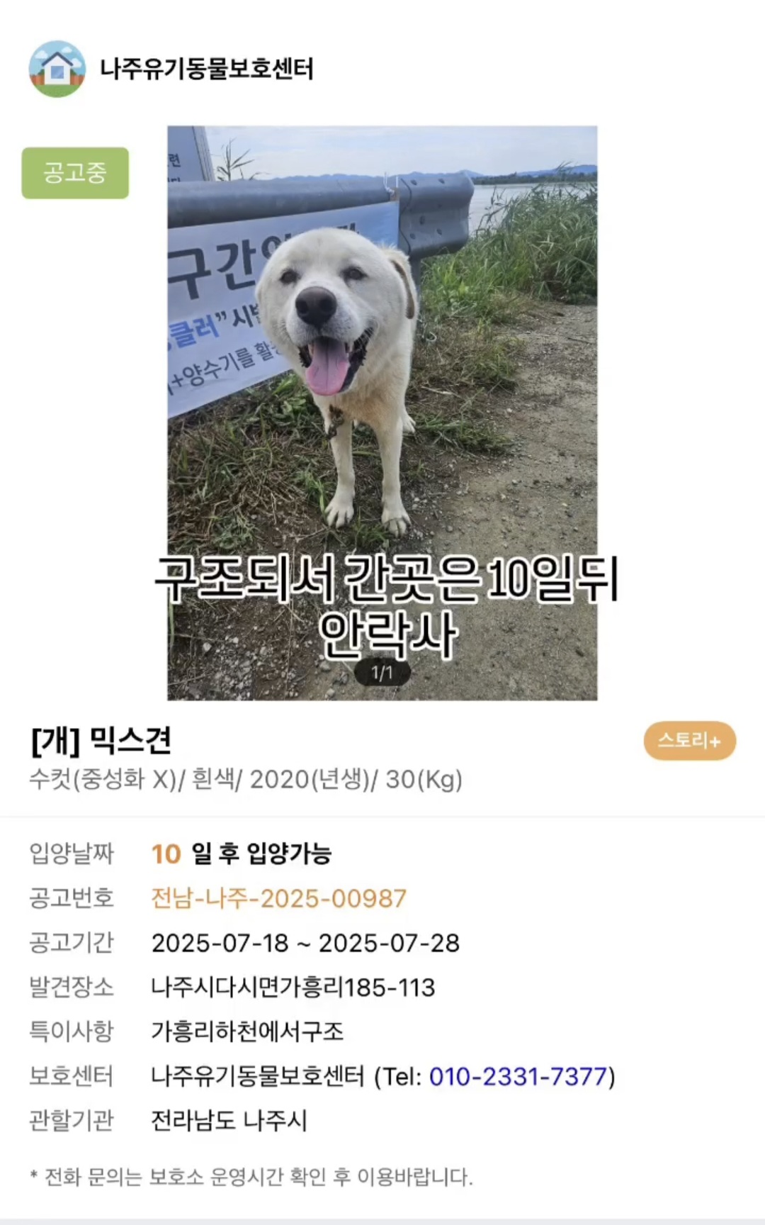 밤새 내리는 비를 맞으며 무슨 생각을 했을까 | 인스티즈