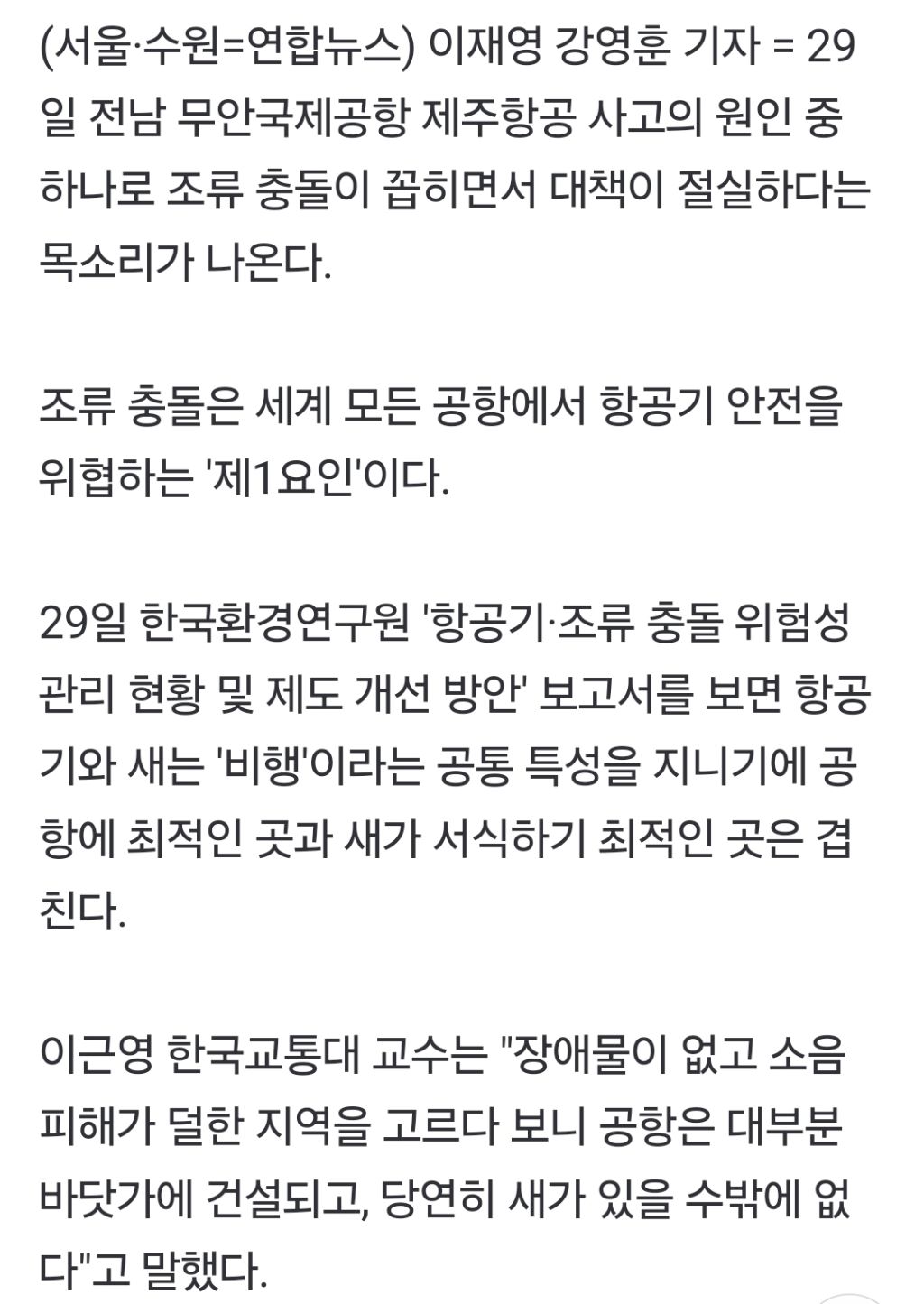 [제주항공 참사] 무안 등 대부분 공항이 새 서식지…조류충돌 대책 절실 | 인스티즈