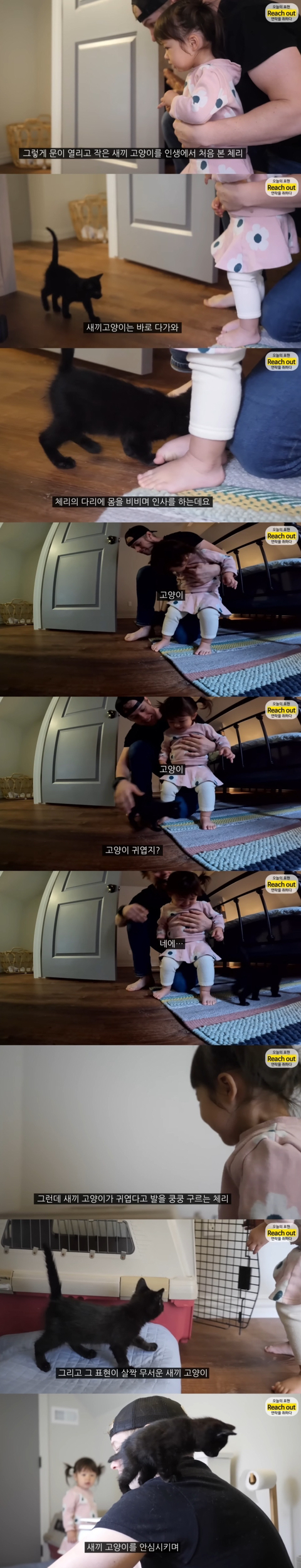 체리한테 동물은 어떻게 대해야 하는지 잘 알려준 것 같은 유투버 올리버쌤 | 인스티즈