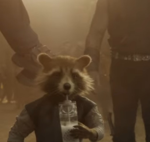 가오갤 로켓이 최애인 달글 (가오갤3에서 제발 안죽었으면하는달글) | 인스티즈