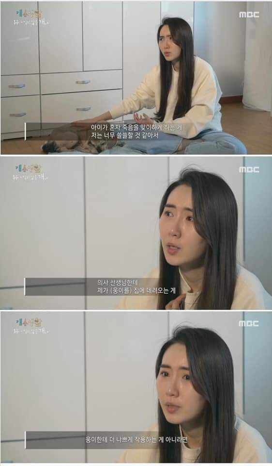 무지개 다리를 건넌다는 것 | 인스티즈