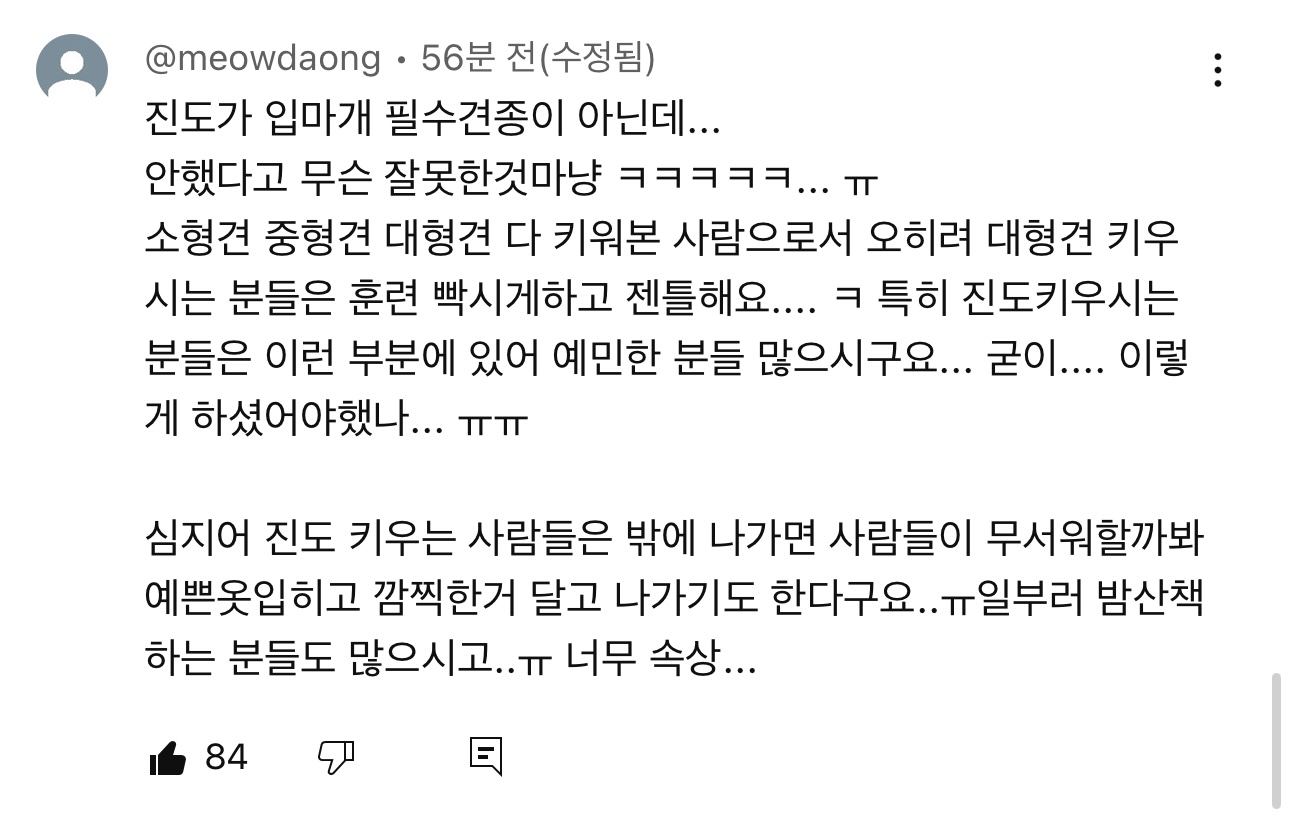 이경규 진돗개 입마개타령 영상에 박제된 견주분들 등장함 | 인스티즈