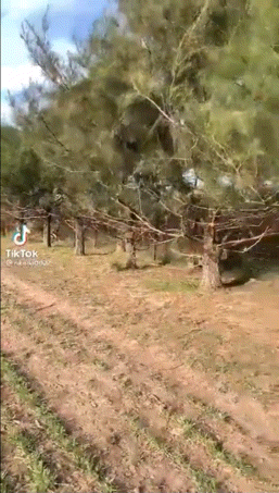 노르웨이에서 사슴경고판을 보면 무조건 조심해야하는 이유 | 인스티즈