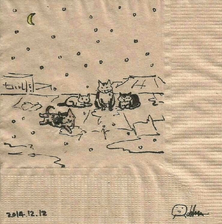 길고양이의 일기.jpg | 인스티즈