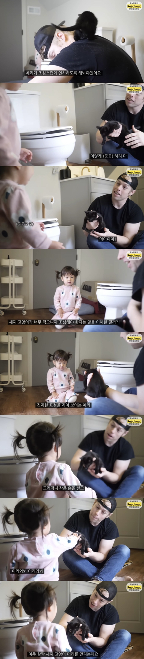 체리한테 동물은 어떻게 대해야 하는지 잘 알려준 것 같은 유투버 올리버쌤 | 인스티즈