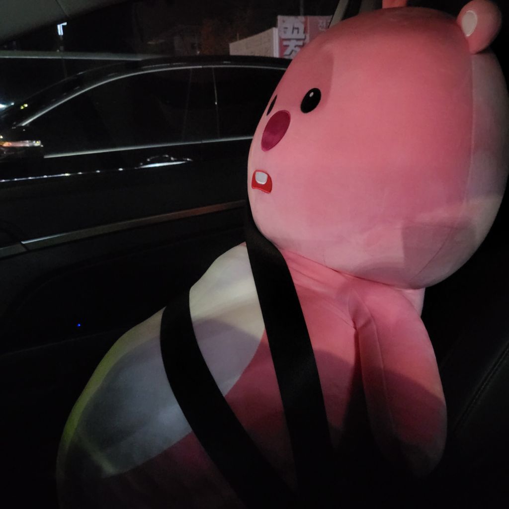 코인세탁방에서 인형 세탁하고 있는데 이래도 되는 거 맞아? | 인스티즈