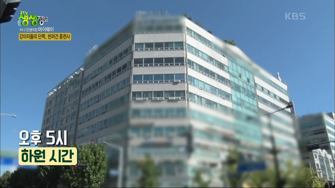 강아지 유치원.jpg | 인스티즈