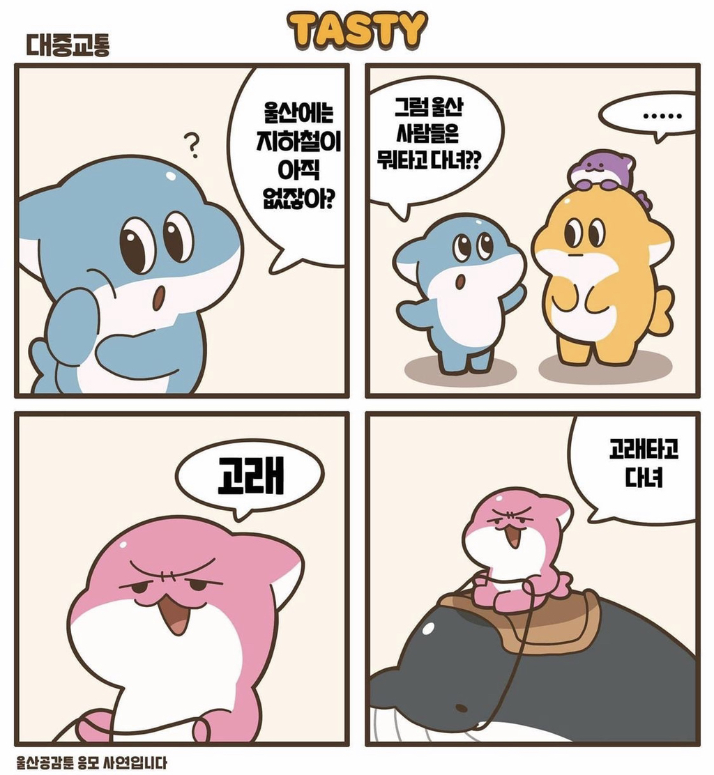 노잼도시 탈출을 위한 울산 고래운전면허증.jpg | 인스티즈