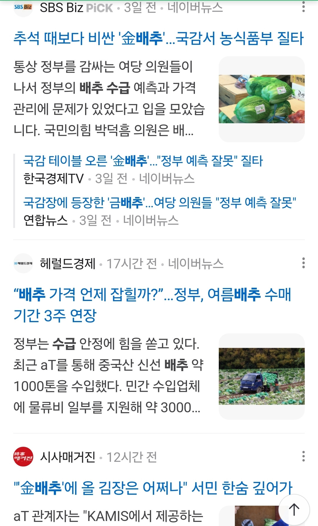 최근 배추수급 문제로 난리 난 한국 김치시장 | 인스티즈