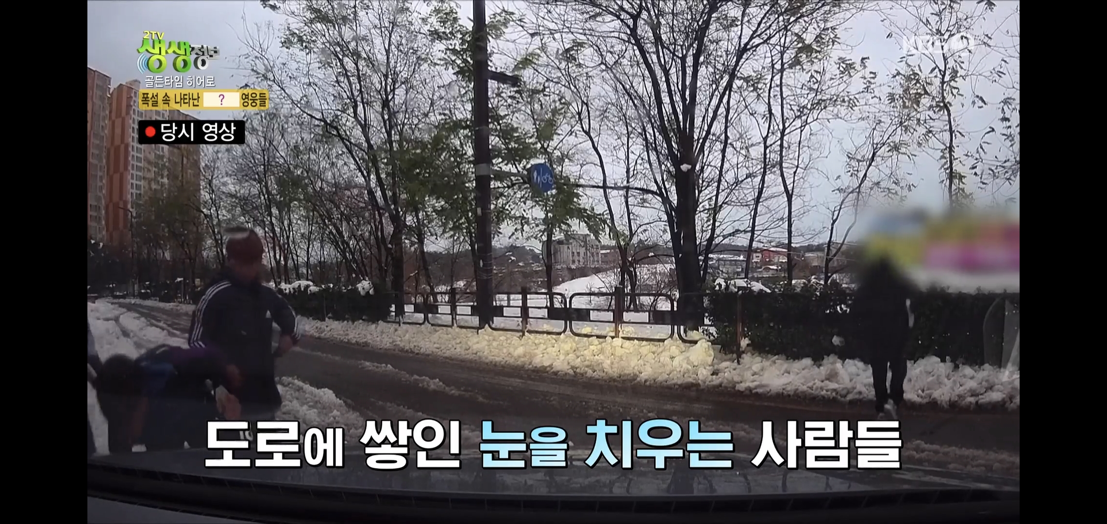 방금 생생정보통에 저번 폭설에 이슈였던 여시 나옴.jpg | 인스티즈