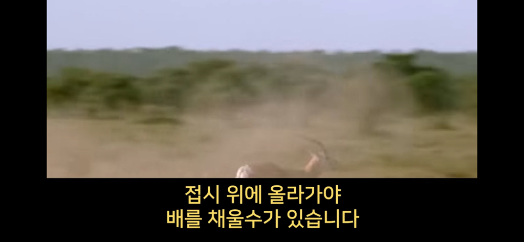 지구에서 환생 안하는방법🌏 | 인스티즈