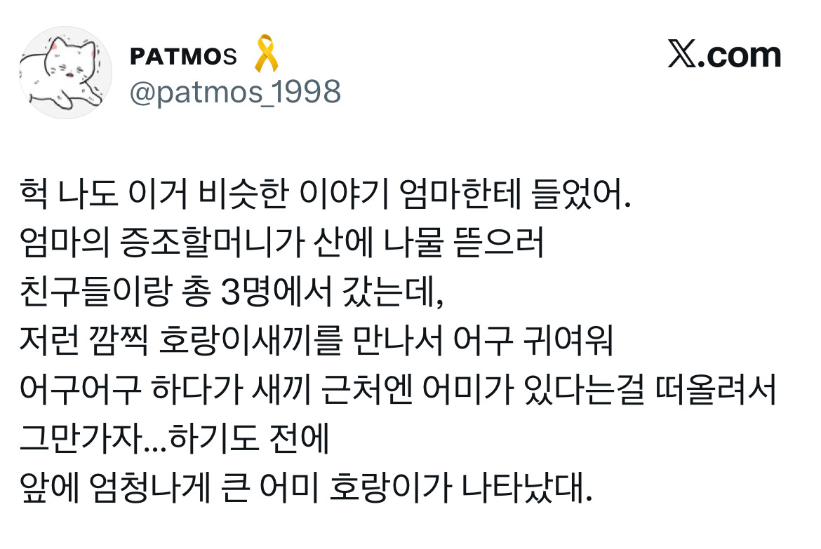전래동화 같은 호랑이 이야기 트위터 모음.twt | 인스티즈
