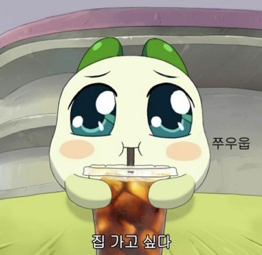 맑눈광 양파쿵야 가끔씩 쓰기 좋은 짤 모음 - 콧멍에트💛잇게짤털 - ＊여성시대＊ 차분한 20대들의 알흠다운 공간 맑눈광 양파쿵야 가끔씩 쓰기... 