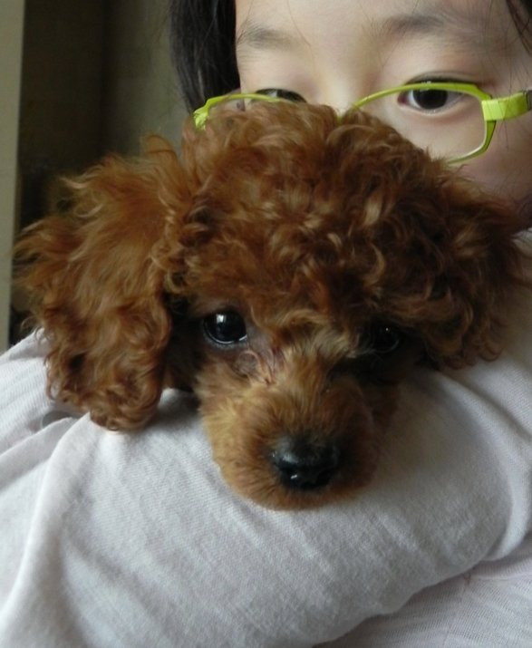 팬싸에서 작년에 무지개다리 건넌 반려견 닮은인형 받은 엔믹스 해원 | 인스티즈