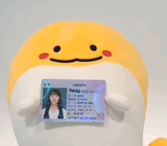 노잼도시 탈출을 위한 울산 고래운전면허증.jpg | 인스티즈