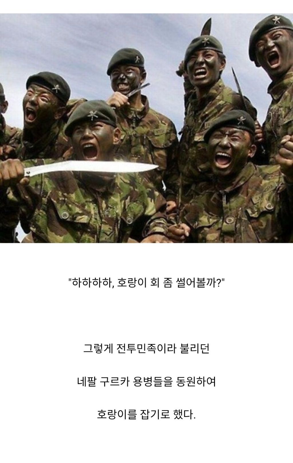 인도와 네팔을 다니며 약 400여명을 죽인 호랑이 | 인스티즈