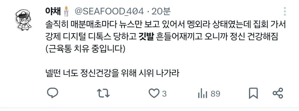 탄핵 시위= 대짱잼 깃발 대회 | 인스티즈