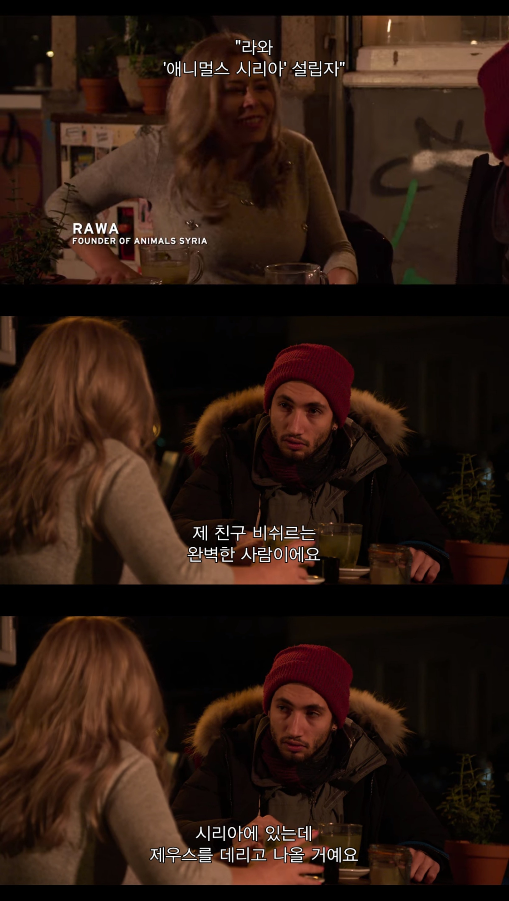 전쟁때문에 독일로 온 난민이라 시리아에 두고 온 내 강아지를 구조하려는데 갑자기 연락이 안된다 | 인스티즈