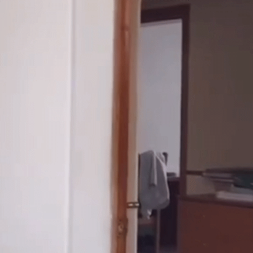 언니만 놀래키려 했는데 | 인스티즈