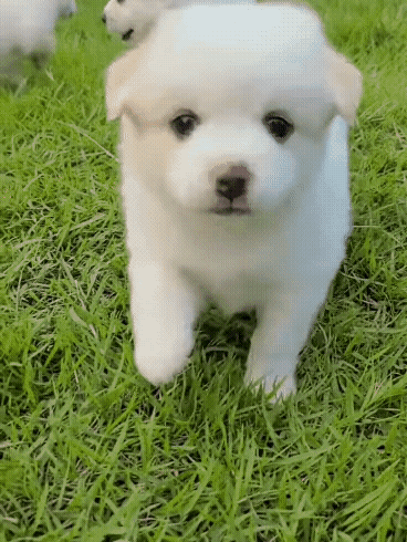 7becc0823c4785e1970b65739963d55204d22087