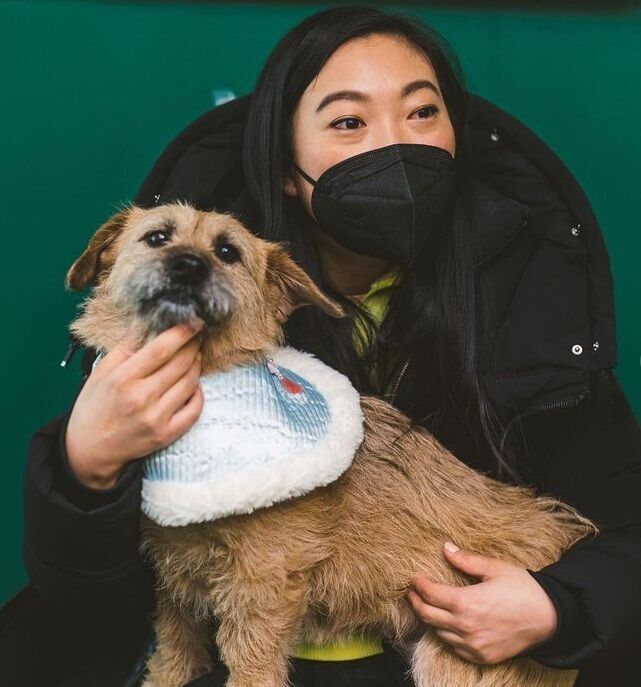 아콰피나가 키우는 한국 유기견 출신 행운이 | 인스티즈