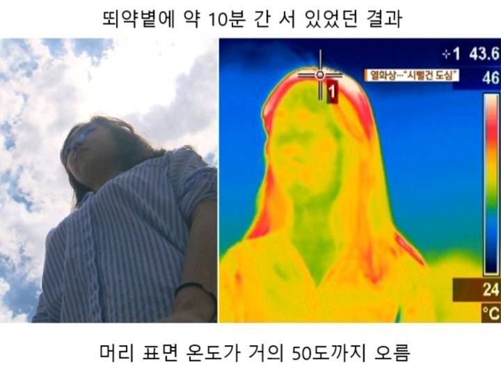 여름엔 꼭 양산을 써야하는 이유 (+양산 색깔) | 인스티즈