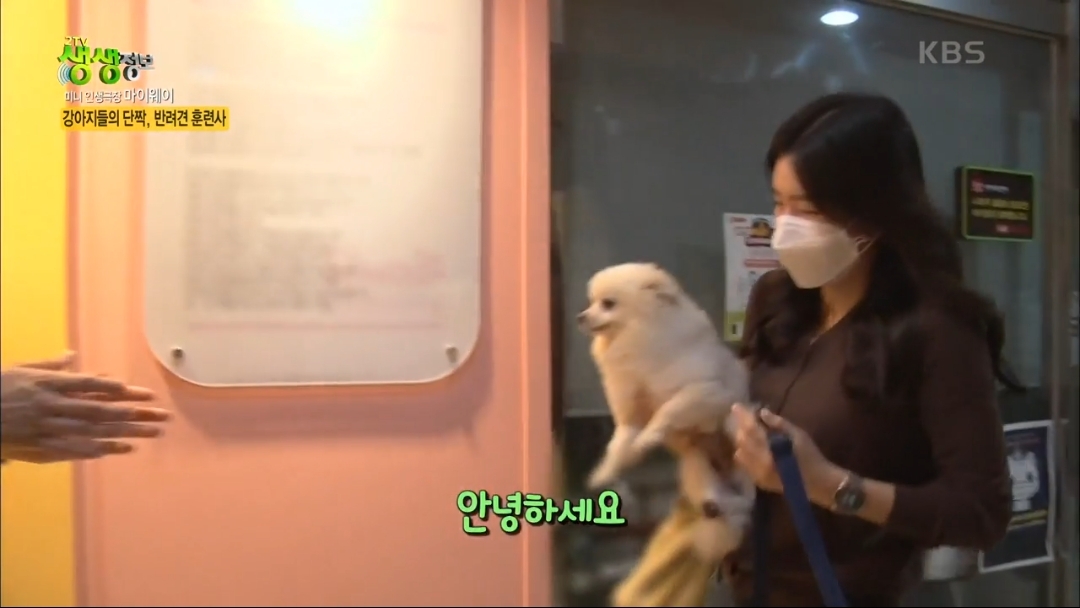 강아지 유치원.jpg | 인스티즈