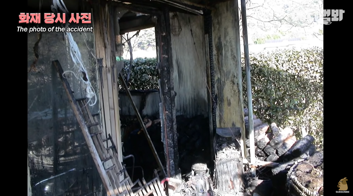 자신을 치료해준 아저씨를 불길속에서 구한 고양이 | 인스티즈