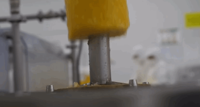 델몬트 파인애플 공장 견학🍍🤓 | 인스티즈