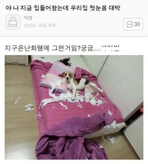 아빠가 개새랑 외출했다고 사진 보내줌 | 인스티즈