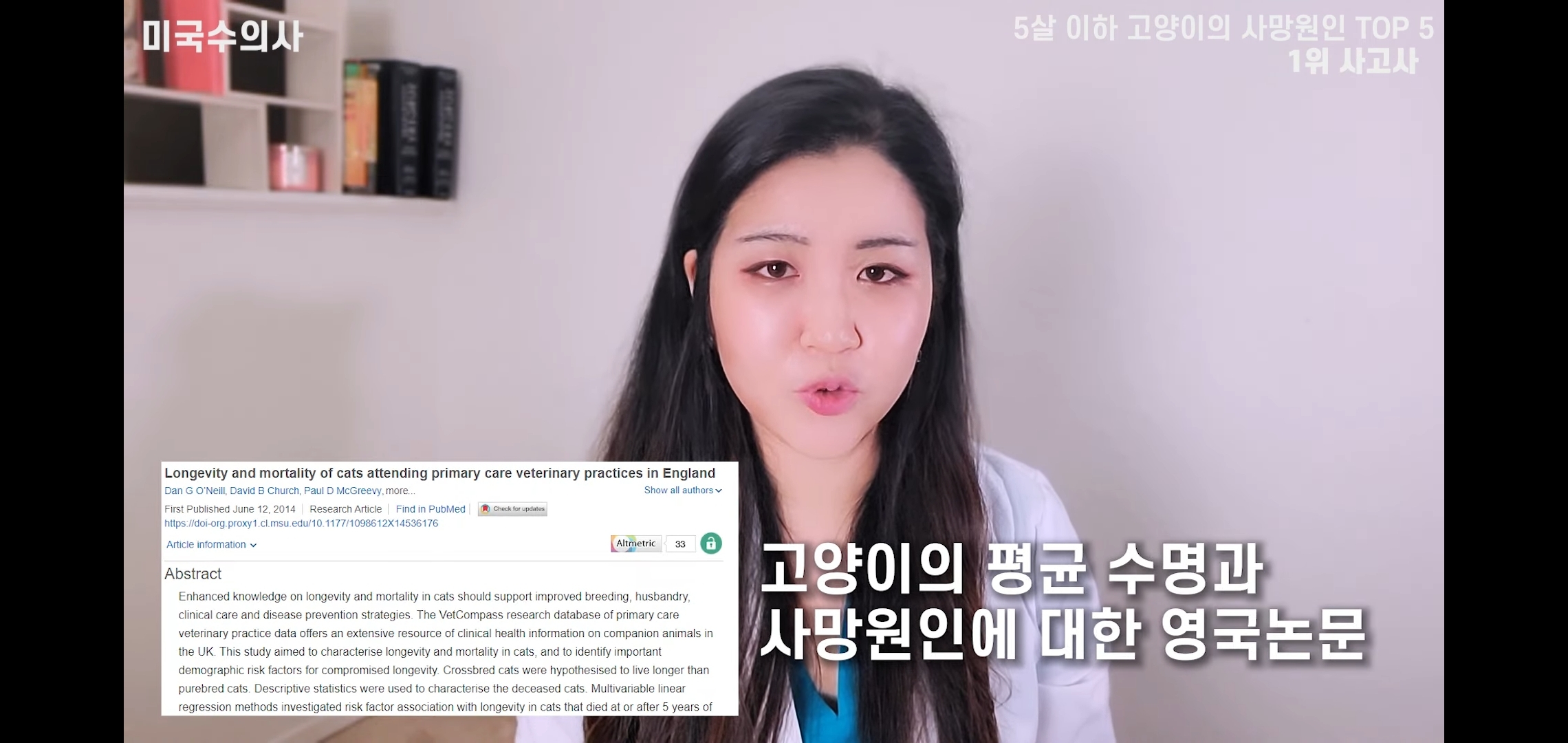 고양이 산책? 하지마!!!!! | 인스티즈