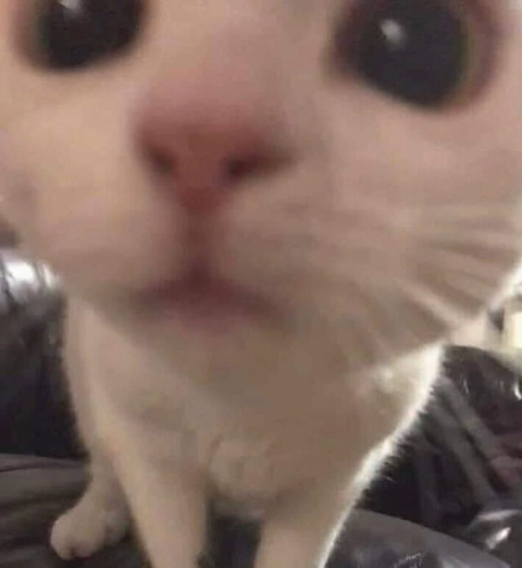 허쉬초콜릿에서 애기토맛 나는 이유(소소하게 내용추가) | 인스티즈