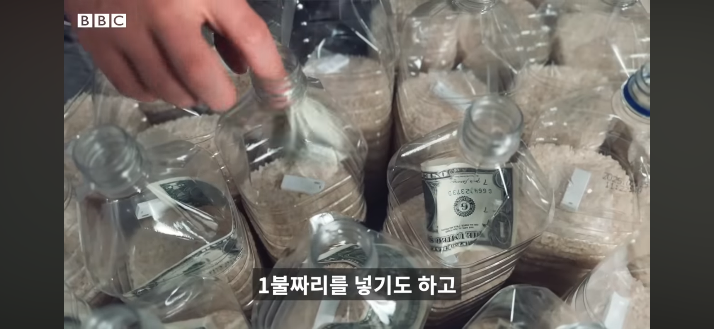 쌀이 든 페트병을 북한으로 보내는 사람들 | 인스티즈