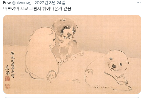 반가우면 민머리 되는 강쥐들 | 인스티즈