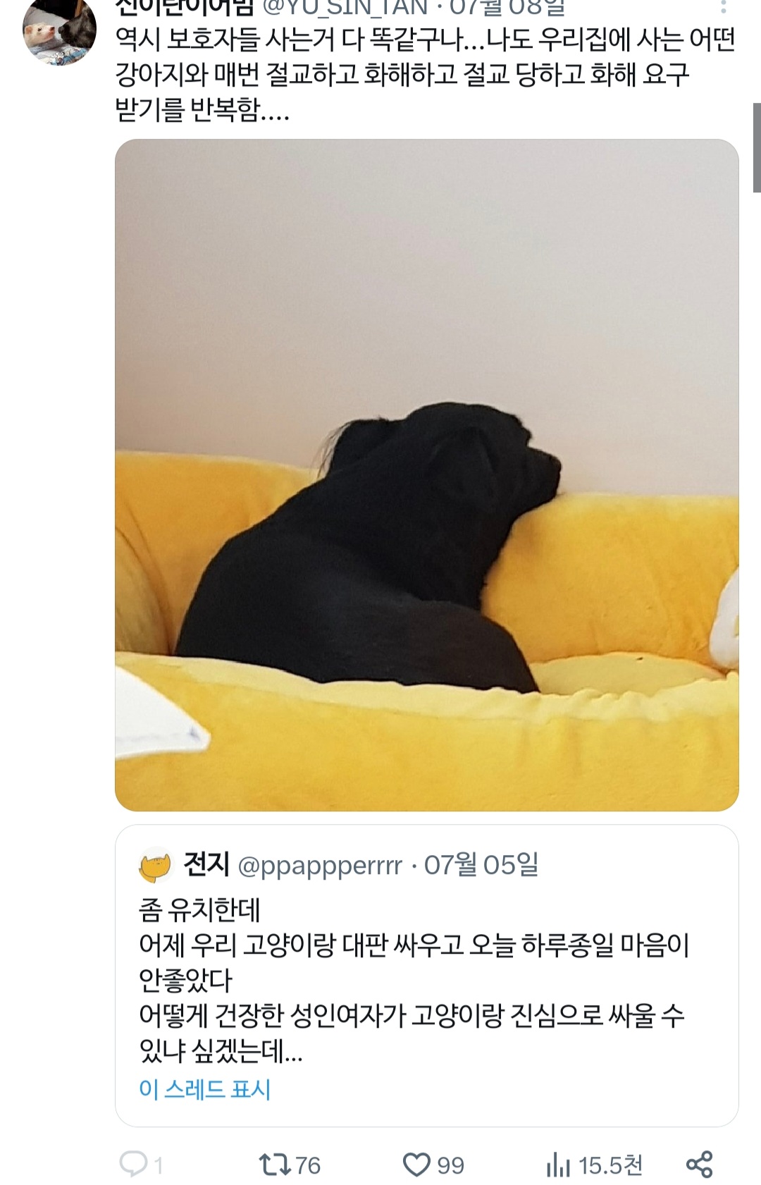 고양이랑 진심으로 싸워서 속상했던 트위터리안.twt | 인스티즈