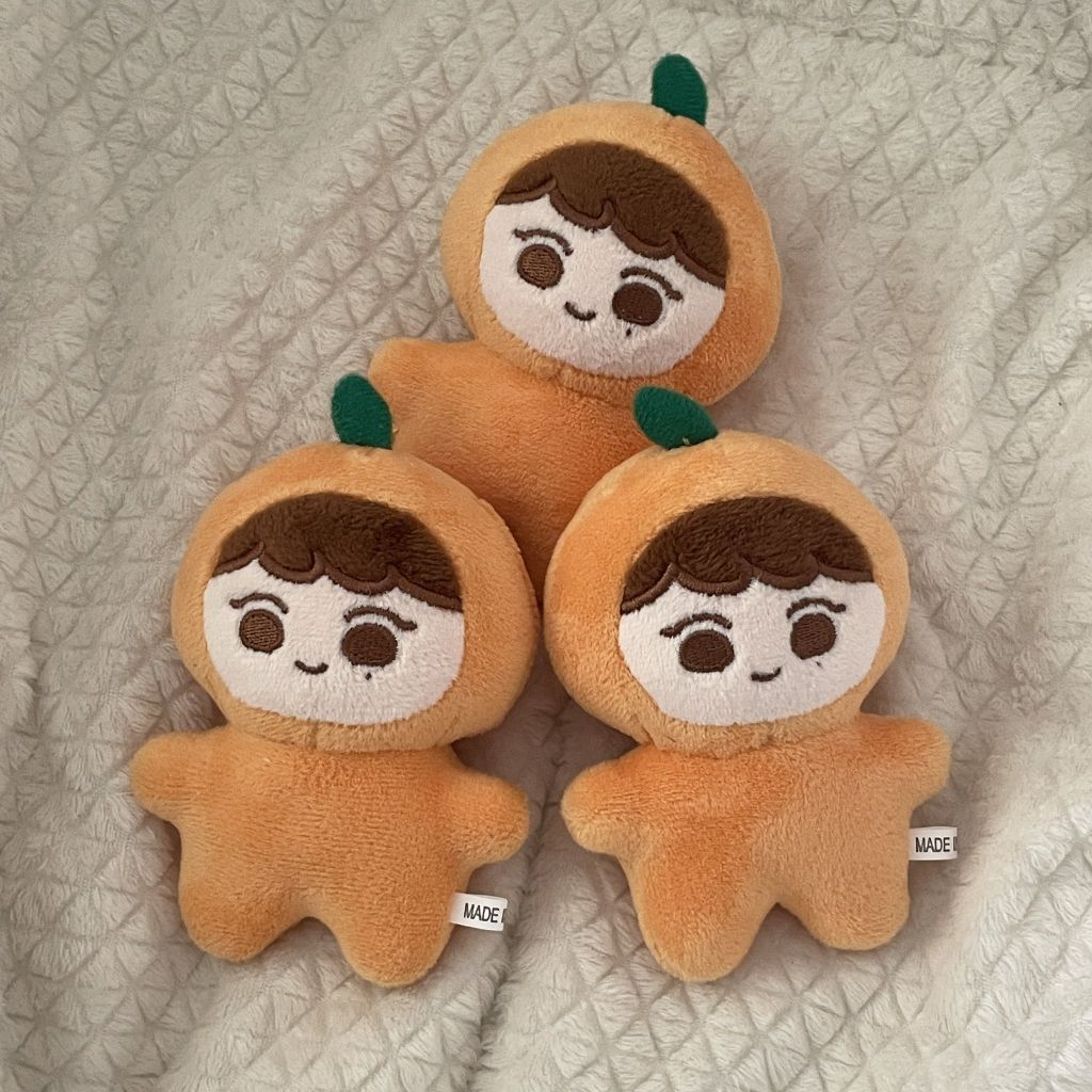 인형 불량이 났는데 오히려 본체랑 똑닮았음.jpg | 인스티즈