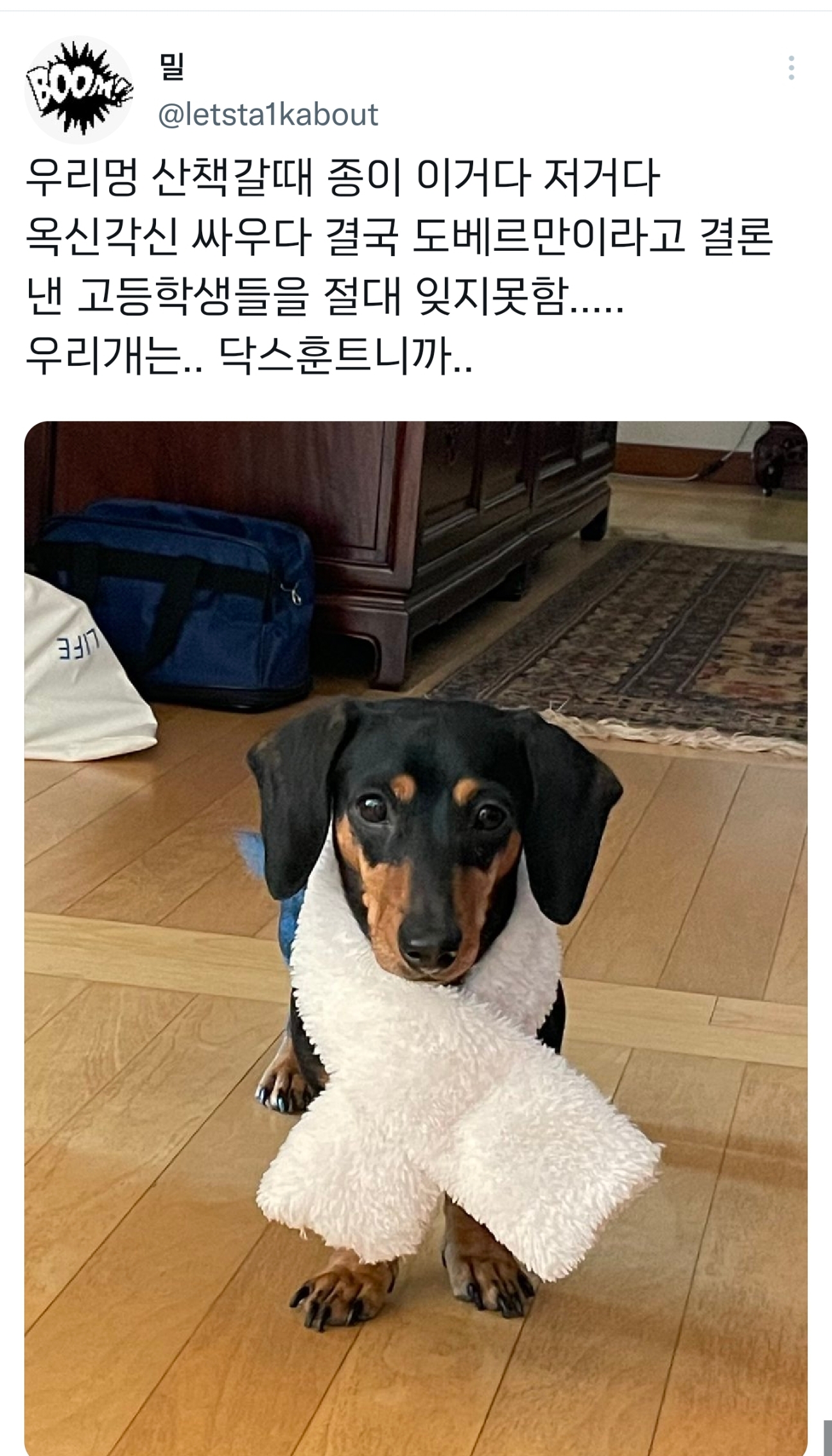 순수하게 동물을 좋아하지만 잘 모르는 사람들.twt | 인스티즈