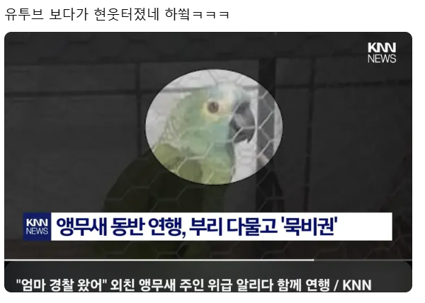 앵무새 동반 연행, 부리 다물고 '묵비권 행사' | 인스티즈