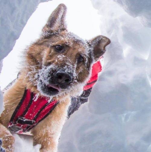 조난당한 사람이 평생 잊지 못한다는 얼굴.jpg | 인스티즈