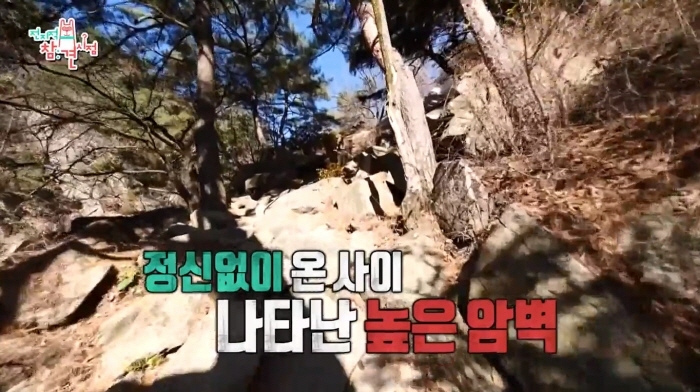 7cbc28bda35627083f0aa6f1b961c13e8cef6ab6