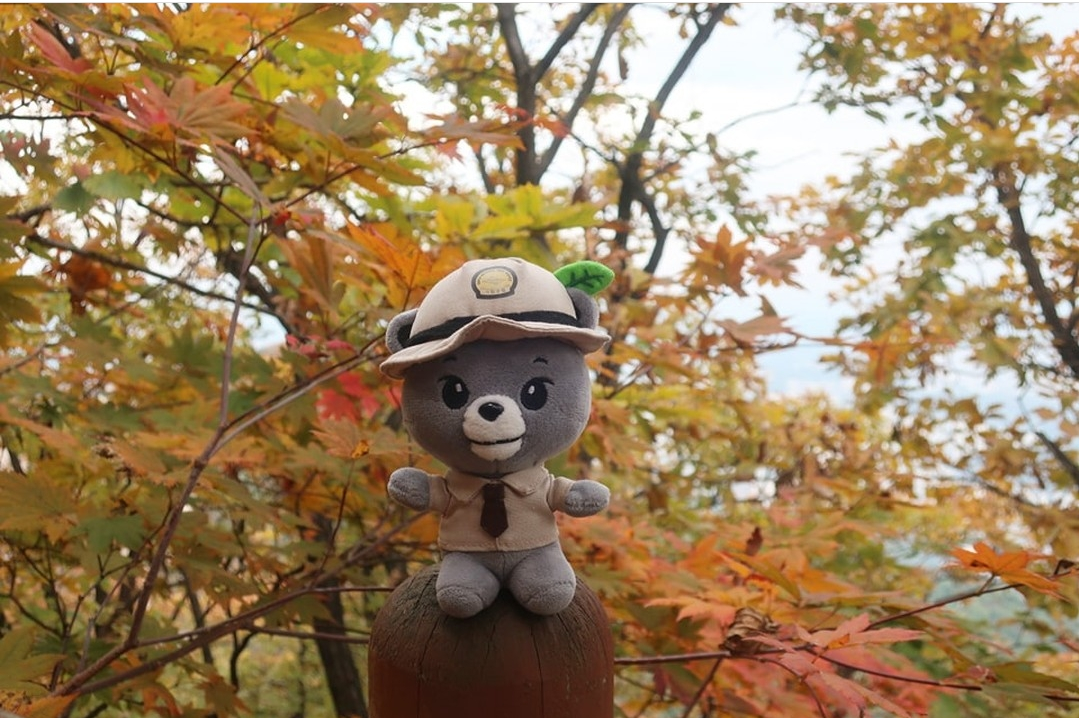 요즘 등산러들 사이 인기템이라는 인형키링.jpg | 인스티즈