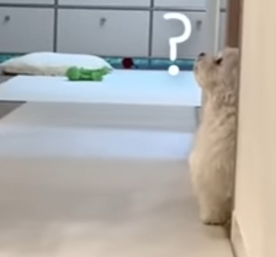 새로 이사온 주택에 물이 새요.jpg | 인스티즈