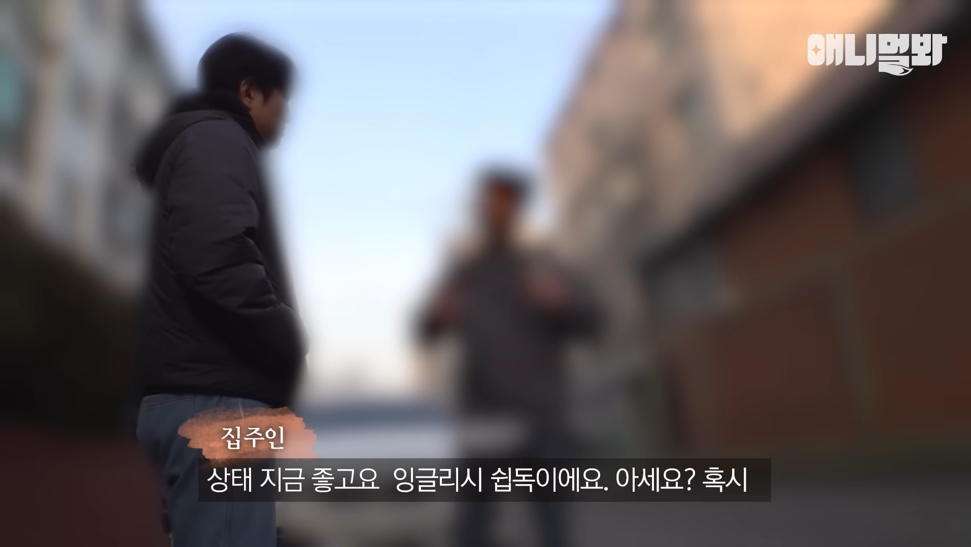 털로 뒤덮여서 걷지도 못하는데 케어한 거라는 견주 | 인스티즈