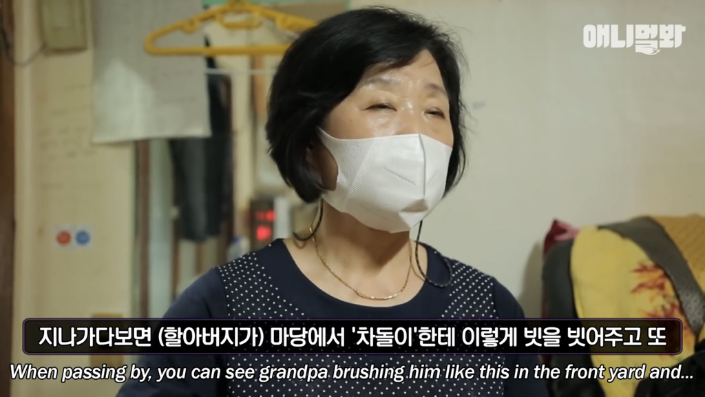 1년만에 자신을 두고 간 주인을 만난 강아지 반응 | 인스티즈