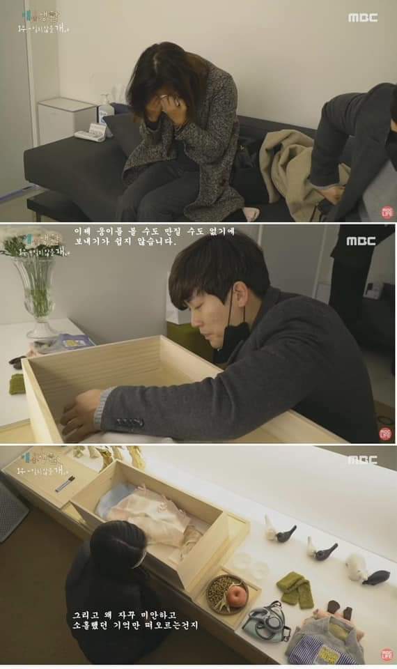 무지개 다리를 건넌다는 것 | 인스티즈