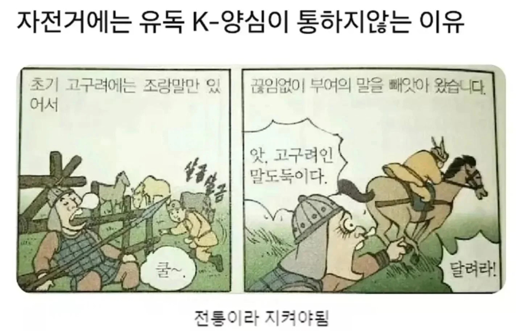 자전거엔 유독 K-양심이 통하지 않는 이유 | 인스티즈