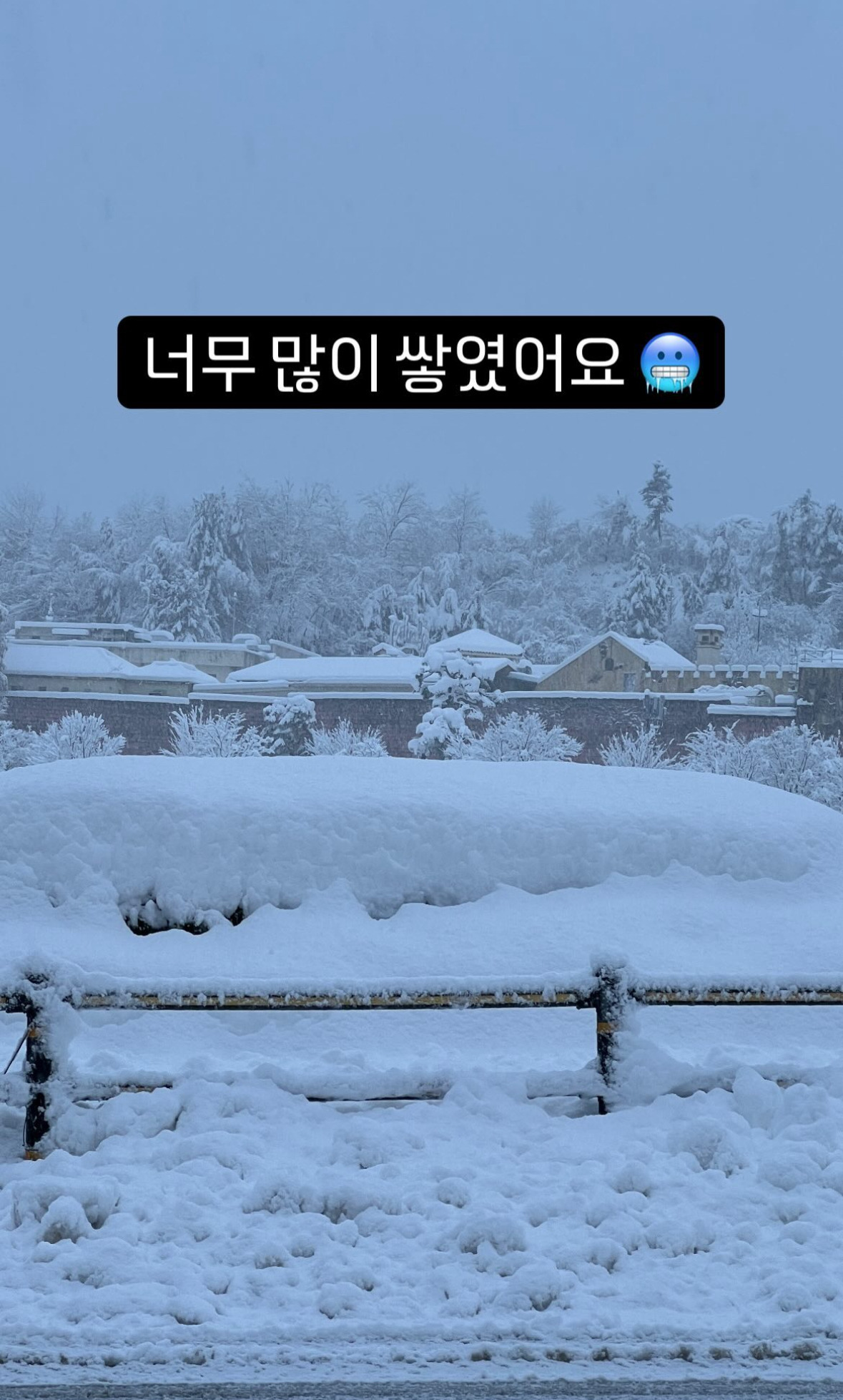 오늘자 에버랜드 근황 | 인스티즈