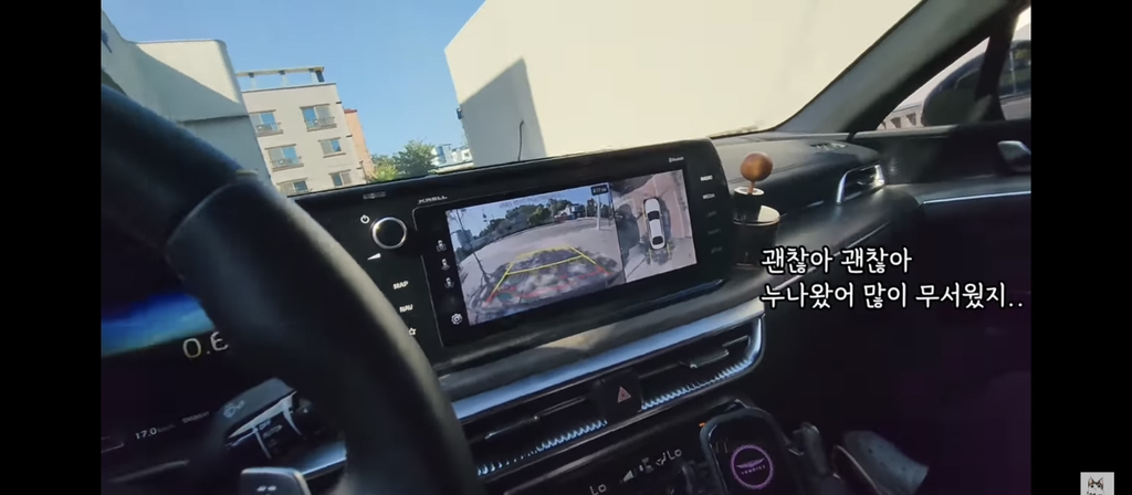 가족들 몰래 고양이를 갖다버린 아빠 | 인스티즈
