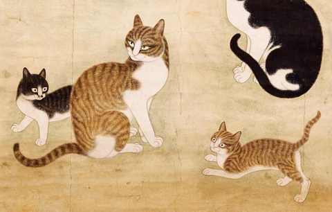 일이 잘 풀리지 않는 사람들은 고양이를 키우라는 말이 있지 | 인스티즈